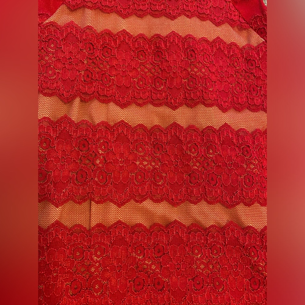 Red Lace Dress with Nude Slip - Picture 4 of 5